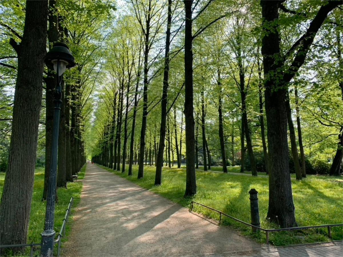 Ferienwohnung Am Suedwall All Inclusive Целле Экстерьер фото